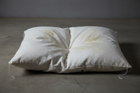 Memory Foam Pillow