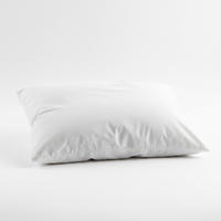 Regular Pillow